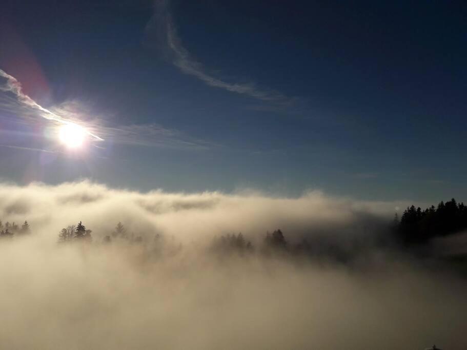 Grosszuegige Ferienwohnung Am Skigebiet Boedele Mit Rheintalblick 도른비른 외부 사진